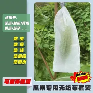 Nóng Loofah Chống Côn Trùng Đóng Băng Chuyên Dụng Chống Chim Dưa Hấu Chuyên Dụng Bầu Đắng Không
