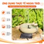 Đài Phun Nước Năng Lượng Mặt Trời – Chống Mưa IP65, Đa Dạng Kiểu Phun, Phù Hợp Cho Hồ Cá & Non Bộ