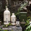 Combo Dầu gội và huyết thanh hạn chế gàu BES Hergen S1 - S2 Dandruff Shampoo 400ml/100ml [ MK ]