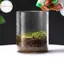 Houdou Chai thủy tinh trong suốt Bộ sưu tập sương sáng tạo 1 Bình thủy tinh Mini Nhân giống cây trồng để trang trí phòng khách VN