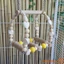 Đồ Chơi Chim Gỗ Chim Perches Vẹt Đứng Leo Xích Đu Đồ Chơi Treo Lồng Phụ Kiện