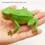 Nhíp Giả Đồ Chơi Mô Phỏng Ếch Mô Hình Động Vật Đồ Chơi Toad Triy Đáng Sợ Bóp Âm Thanh Ếch Đồ Chơi Cho Trẻ Em Sở Thích Bộ Sưu Tập Đồ Chơi VN