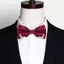 ECK Nam Nơ Dây Buộc Đầu Kim Loại Chắc Chắn Cao Quý Cổ Điển Polyester Bướm Nơ Cravat Nơ Nữ Nam Newear Dự Tiệc Cung Cấp HOT