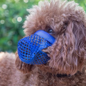 Chó Mõm Chó Con Chó Con Nhỏ Kích Thước Vừa Chó Chống Ăn Mặt nạ Chó Chống Cắn Schnauzer Chống Ăn Chống Dính Pupp26060513