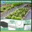 Dành cho vòng làm vườn rau ngoài trời 30 chiếc, khung nhà kính 2,4m có kẹp gia cố, cho giường nâng để hỗ trợ lưới