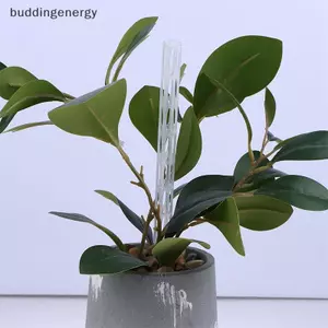 {BUDDI} 3 / 5 / 10 Ống tuần hoàn không khí đất cho cây bằng nhựa bền Ống thông gió rễ cây thoát nước trong suốt s {buddingenergy}