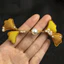 Handmade Sườn Xám Đĩa Nút Ngọc Trai Trung Quốc Ginkgo Nút Cứng Phong Cách Retro Đường Phù Hợp Với Bện Nút Trang Trí 6.7