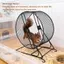halluya.vn-sip-my Bánh xe tập thể dục cho Hamster Funien Ổn định Tiếng ồn thấp Sóc đa chức năng cho lồng Dễ dàng bảo trì Chuột chũi phù hợp Bàn ủi