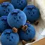 XUAN Innocent Blueberry Doll Sang Trọng Móc Khóa Đồ Chơi Nhồi Bông Dễ Thương Mô Phỏng Túi Quyến Rũ Cho Bé Gái Xe Bapa Quà Tặng Và Trang Trí VN