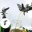 Cc Hợp kim kẽm hiện đại Hawks Head Drink Dispenser Công cụ rượu vang Hoàn hảo để giải trí