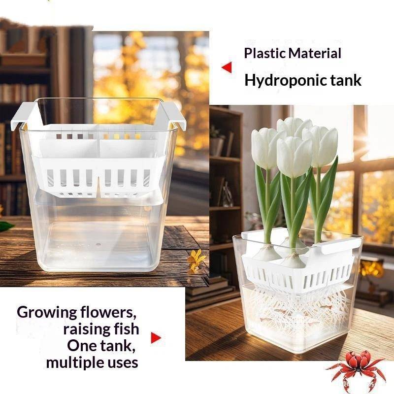 AN.MART Hộp Thủy Canh Có Giỏ Hỗ Trợ Thoáng Khí Hạt Hoa Tulip Chậu Hoa Thủy Canh 4 Lỗ Chậu Hoa Không Đất Trang Trí Nhà Cửa VN