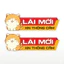 Lái Mới Xin Thông Cảm, hình ảnh chú mèo vàng cute 3152