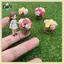 B & N Mini Chậu Hoa Thu Nhỏ Chậu Hoa Mô Phỏng Nhân Tạo Trang Trí Cho Nhà Búp Bê Sân Vườn Bàn Trưng Bày.