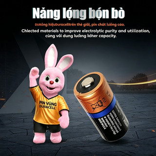 DURACELL CR123A / CR123 / DL 123 / CRCR17345 Pin Lithium 3V Cho Camera Flash Tầm Nhìn Ban Đêm Báo Động Khói