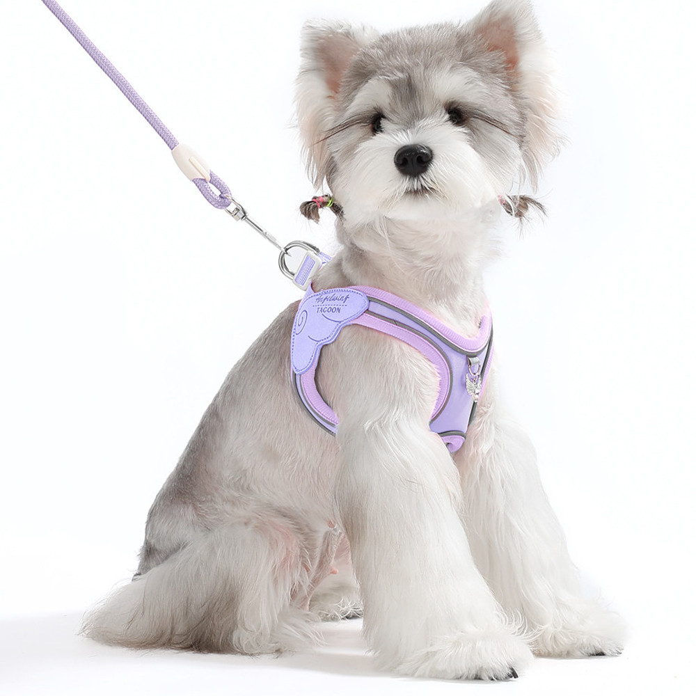 Dây Xích Chó Áo Phong Cách Dây Đeo Ngực Thoáng Khí Nhiều Màu Chó Nhỏ Mèo Dây Đeo Ngực Teddy Bichon Con Chó Con Mùa Hè Thú Cưng Dây Đeo Ngực Đi Chơi Chó Đi Bộ Dây Xích