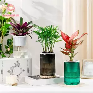 Chậu hoa PWSEND, Chậu cây thủy canh bằng nhựa tự tưới, Chậu trồng cây mọng nước Mini có thể tháo rời sáng tạo