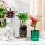 Chậu hoa PWSEND, Chậu cây thủy canh bằng nhựa tự tưới, Chậu trồng cây mọng nước Mini có thể tháo rời sáng tạo