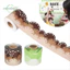Nhãn dán viền áp phích CATMALLER88, Nhãn dán trang trí viền DIY 10m / cuộn, Nhãn dán viền viền tự dính cho trang trí bảng đen lớp học văn phòng