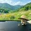 Búp bê bò LACYESUK, Hình bò cỏ dễ thương đau khổ, Hình trang trí bảng điều khiển trung tâm giải nén dễ thương Emo xấu xí