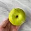 QEARY Squishy Đồ chơi căng thẳng Bagel giả, Bánh mì Bagel sáng tạo siêu mềm Đồ chơi Squishy, Tay thủ công mới lạ Thư giãn vui nhộn Đồ chơi bóp phục hồi chậm Trang trí nhà cửa