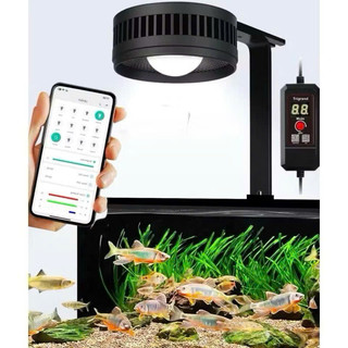Đèn KaoKui KK70 Pro RGB 70w Đỏ Cá Không Đỏ Nước. Có Thể Điều Chỉnh Qua App Điện Thoại