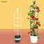 Luckyew 1 Bộ Cây Leo Trellis Vườn Hỗ Trợ Lồng Cho Hoa Cây Hỗ Trợ Khung Trellis Leo DIY Hoa Nho Nồi Đứng TQ