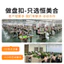 Sườn Xám Nút Giả Ngọc Kim Loại Receptacle Nút Retro Tang Phù Hợp Với Hanfu Nút Trang Trí Nhựa Ngọc Hạt Nút Phụ Kiện 6.7