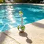 Nhẫn rốn bằng thép không gỉ Springevenstar với đá quý đôi Nhiều màu Hoàn hảo cho trang phục đi biển mùa hè Springevenstar
