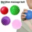 Springevenstar Massage Spiky Ball 7cm 9cm Huấn Luyện Đau Cơ Massage Căng Thẳng Thư Giãn Bấm huyệt Massage Myofascial Bóng Yoga Bóng Massage Dụng Cụ Massage Springevenstar