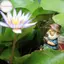 Hodou Câu Cá Gnome Sitter Ngộ nghĩnh Nhựa Chống Tia UV Trang Trí Sân Vườn Ngoài Trời Bãi Cỏ Gnome Cho Sân Bãi Cỏ Tượng Gnome Trang Trí Sân Vườn VN