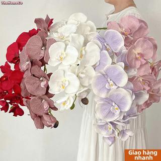 THEHOMECO Nhân Tạo Bướm Phong Lan, 10 Đầu Đa Màu Phalaenopsis Giả, Dây Sắt Sống Động Như Thật Lớp Lót Bên Trong Cảm Ứng Thật 98cm Hoa Lụa Trang Trí Đám Cưới