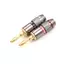 Tweeduj 4 Chiếc Mạ Vàng BFA 4 Mm Chuối Cắm Nam Loa Kết Nối Adapter VN
