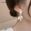 AqToCna Thời Trang Giả Vỏ Tòn Ten Bông Tai Pha Lê Trắng Zirconia Hoa Cô Dâu Bông Tai Dự Tiệc Phụ Kiện Dành Cho Nữ AqToCna
