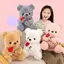 SRVN 25cm Quà tặng đám cưới Ngày lễ tình nhân Gấu hồng sang trọng Đồ chơi nhồi bông mềm mại đáng yêu.
