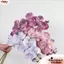 NORDICLIFE Bướm Nhân Tạo Phong Lan, 10 Đầu Dây Sắt Bên Trong Lót Giả Phalaenopsis, Nhiều Màu 98cm Cảm Ứng Thật Hoa Lụa Trang Trí Nhà