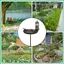Tắm Chim Cho Bên Ngoài Sắt Trang Trí Khay Nước Retro Có Cổ Phần Vườn Chim Ăn Waterer Cho Sân Vườn Sân jiwvn