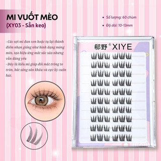 [Hỏa Tốc Nhắn Shop] Combo 10 Hộp Mi Giả XIYE 10 Hàng Sẵn Keo Mỏng Nhẹ Tự Nhiên