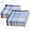 12 Miếng Cotton Nam Khăn Tay Quà Tặng Khăn Kerchiefs Cho Kinh Doanh Prom Highdies