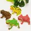 Nhíp Giả Đồ Chơi Mô Phỏng Ếch Mô Hình Động Vật Đồ Chơi Toad Triy Đáng Sợ Bóp Âm Thanh Ếch Đồ Chơi Cho Trẻ Em Sở Thích Bộ Sưu Tập Đồ Chơi VN