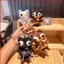 BH2 Ugly-Cute Chihuahua Cowboy Phong Cách Sang Trọng Móc Khóa Sang Trọng Túi Charm HB2