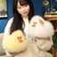 Mô Phỏng Vịt Mận Dễ Thương Chiên Vịt Vàng Ragdoll Sang Trọng Búp Bê Trẻ Em Bé Trai Bé Gái Quà Tặng