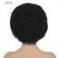 DELMER Afro Tóc Giả, Jumbo Big Kinkly Xoăn Tóc Giả, Sợi Nhiệt Độ Cao Rock Ngộ nghĩnh Đảng 70 Tổng Hợp Tóc Giả Cho Nam Da Đen
