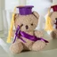 Gấu bông tốt nghiệp, gấu teddy nhỏ đội mũ tiến sĩ, quà kỷ niệm