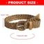 Woke Thiết Kế Nghệ Thuật Thắt Lưng Cincher Với Khóa D-Circlet Mịn Dễ Mặc Hàng Ngày