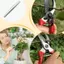 Làm Vườn Pruner Thay Thế Lò Xo Cắt Tỉa Lò Xo Cho Trái Cây Hoa Vườn Secateurs Dụng Cụ Cầm Tay mueadsyvn