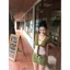 Áo len Cardigan ngắn tay có dây buộc thiết kế phong cách Hàn Quốc dành cho nữ mùa hè Phong cách mới Slim-Fit Sli