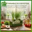 SWEET Green Onion Planter Hydroponic Growing Kitpact Hệ thống làm vườn tại nhà cho ban công nhà bếp Dễ dàng trồng rau n