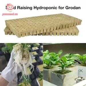 PWSSEND 36 / 50 Cái Chất nền văn hóa không đất, Công cụ trồng trọt nước một lỗ Phát triển khối Stonewool, Chất lượng Rock Wool Starter Water Cultivation Starter Plug Rock Wool