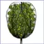Lưới Bush Trái Cây Có Dây Kéo & Dây Rút Cây Bảo Vệ Lưới Cây Bảo Vệ Vỏ Bảo Vệ Cây Quả việt quất mueadsyvn