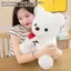 SRVN 25cm Quà tặng đám cưới Ngày lễ tình nhân Gấu hồng sang trọng Đồ chơi nhồi bông mềm mại đáng yêu.